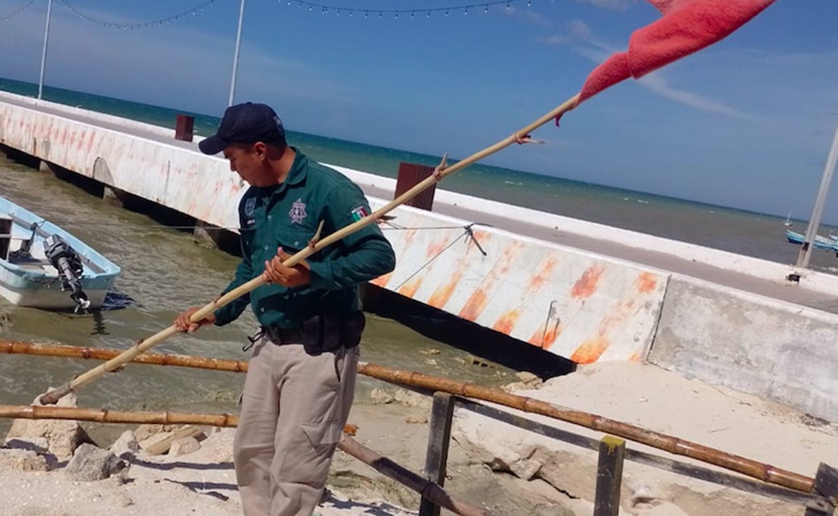 Advierten de posible marea roja en Yucatán