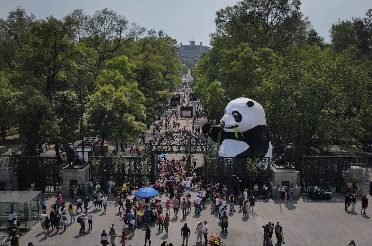 Qué habrá en Quiróptera, el Festival del Bosque de Chapultepec