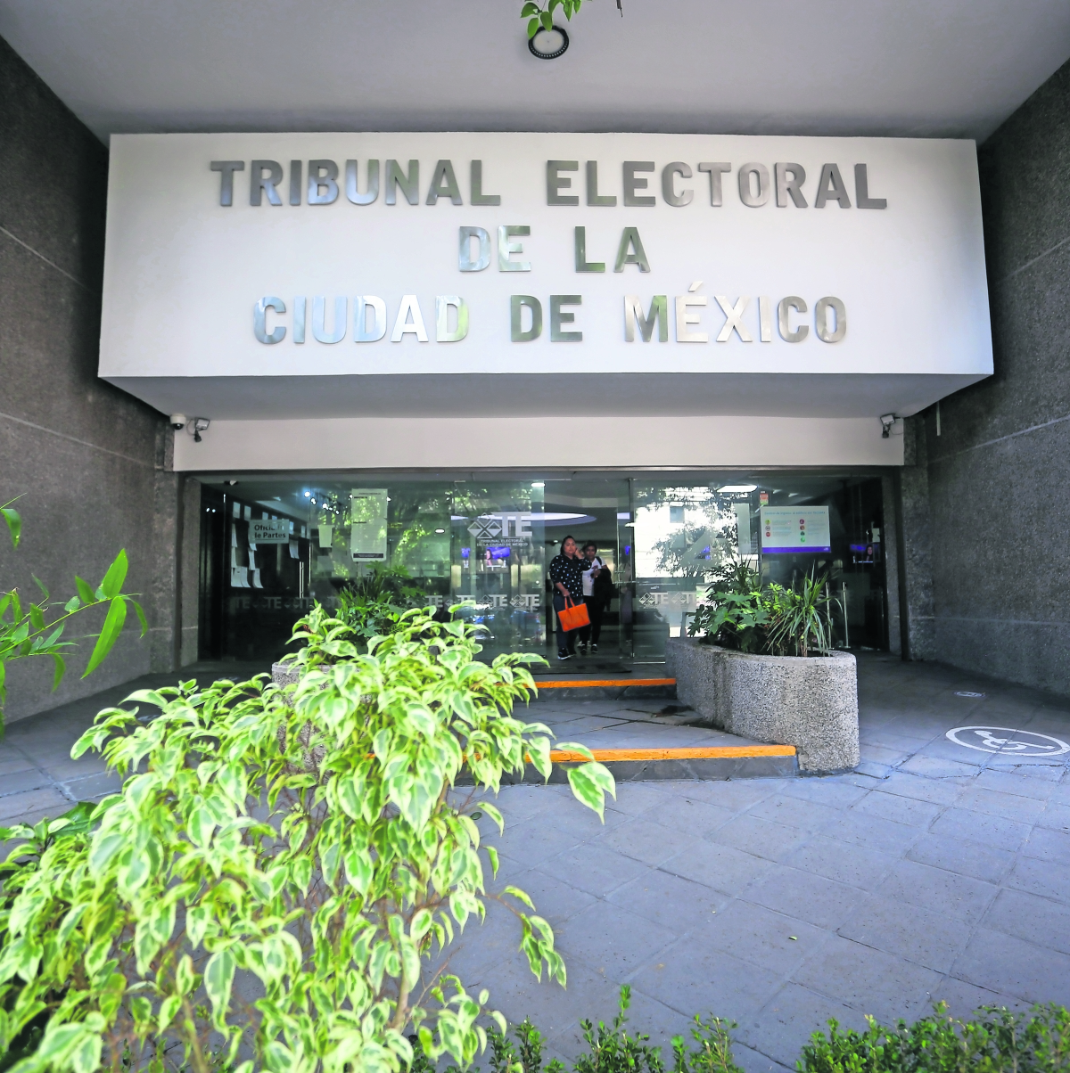 TECDMX ha recibido 106 juicios por elecciones