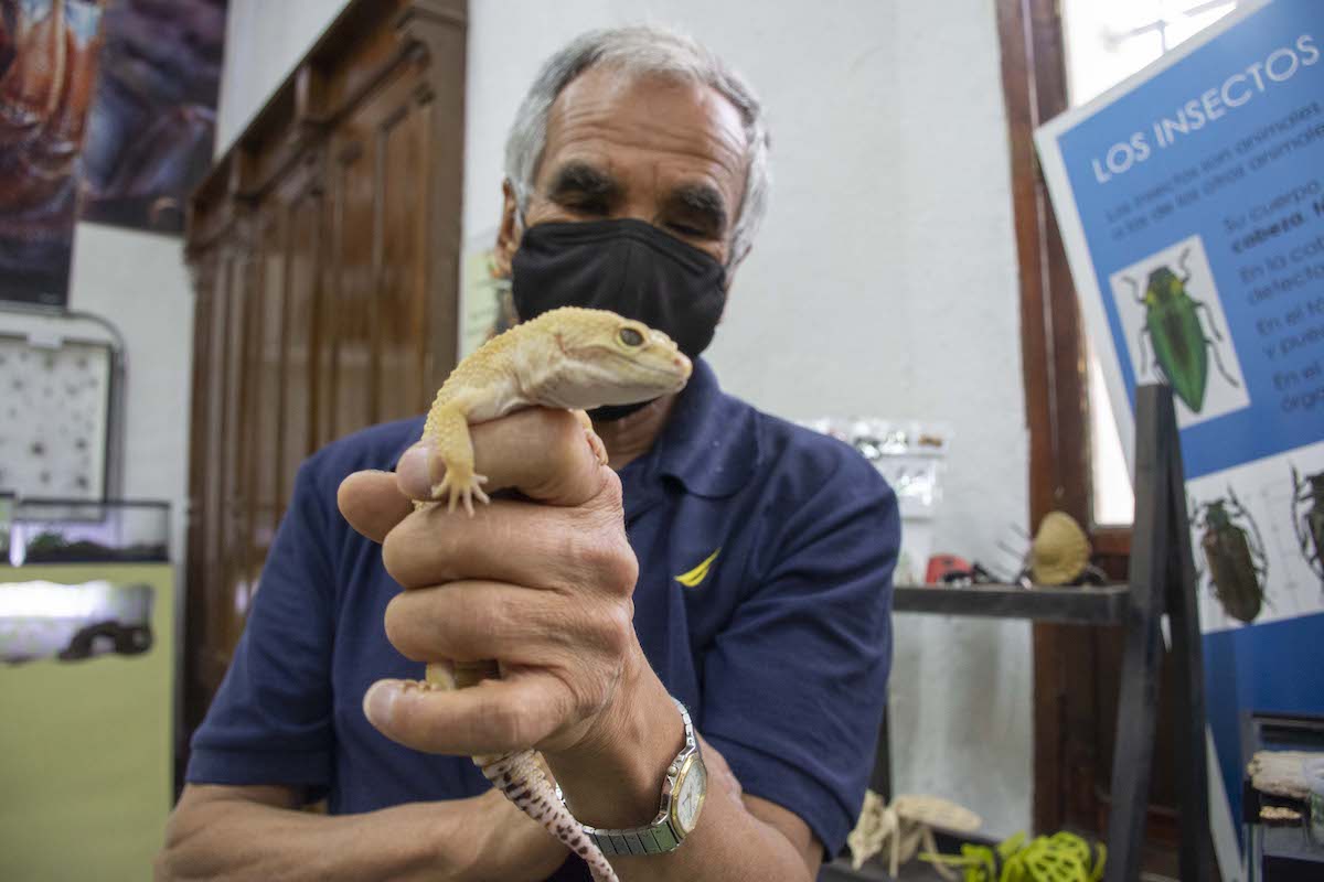 Sumérgete al misterioso mundo de bichos