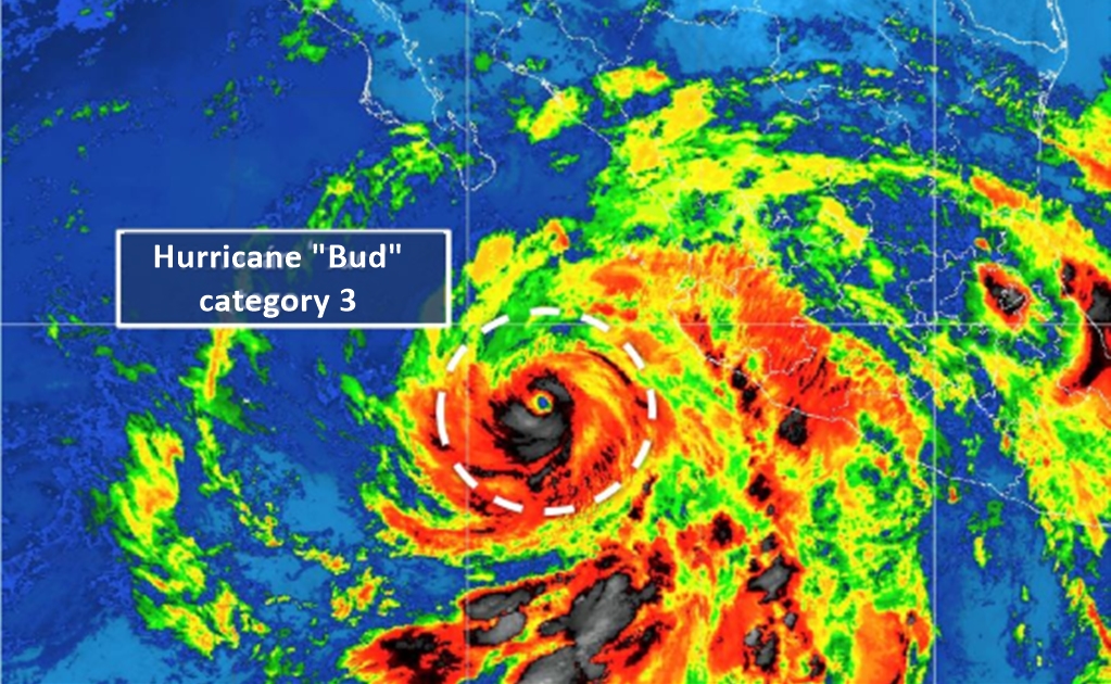“Bud” once more a category 3 hurricane
