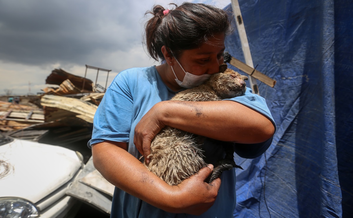 Encuentra a su gato "Mazapán" tras incendio en Nezahualcóyotl, Luz María pide ayuda veterinaria