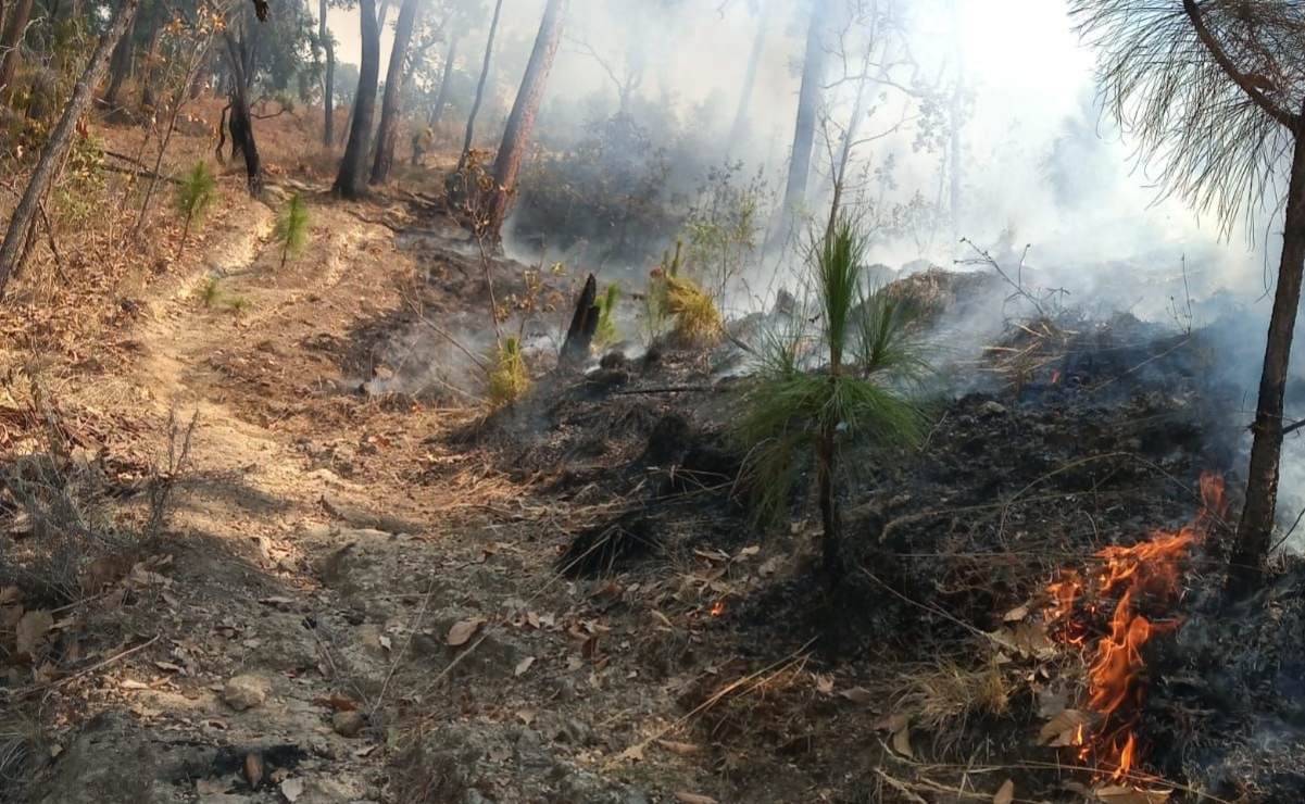 Incendio en la zona boscosa Velo de Novia en Valle de Bravo, continua pendiente de combate