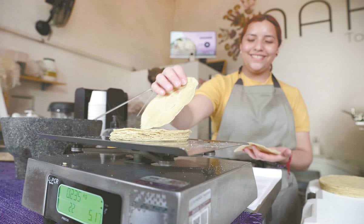 Precio de la tortilla, lejos de una baja considerable