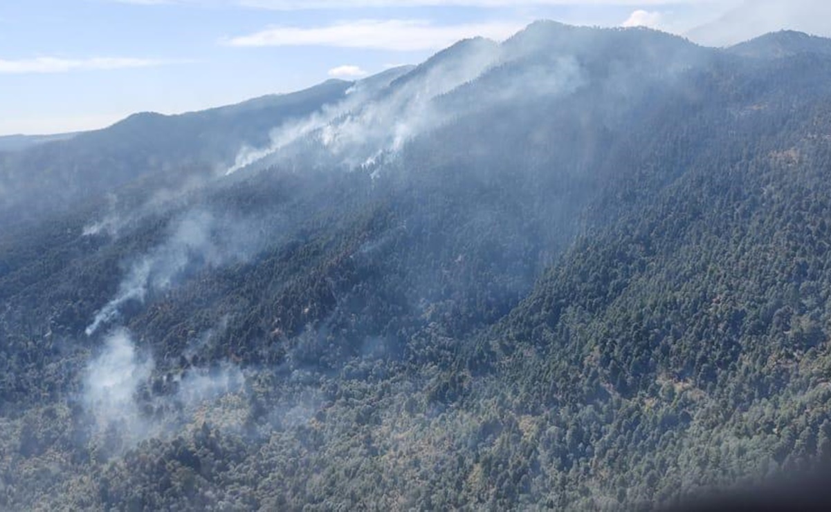 Controlan al 100% incendio forestal en Villa Guerrero, Edomex