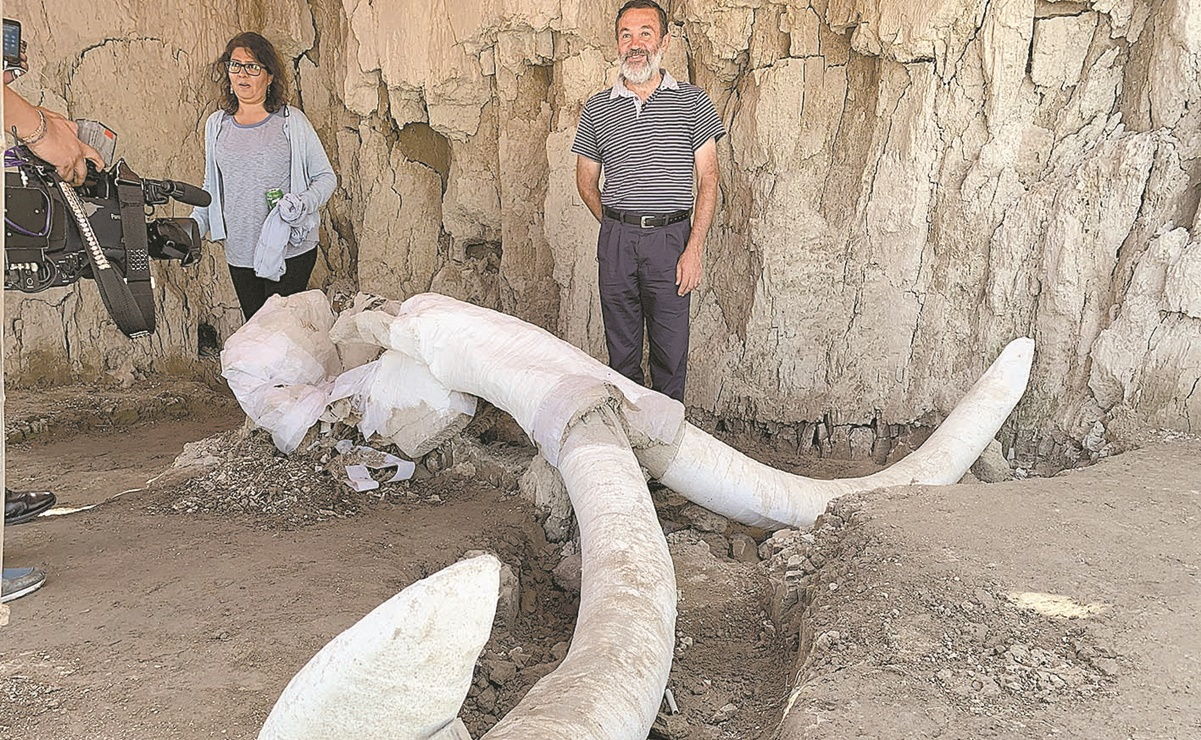 ¿Cómo se hallaron los 14 mamuts cazados hace 14 mil años en Tultepec?