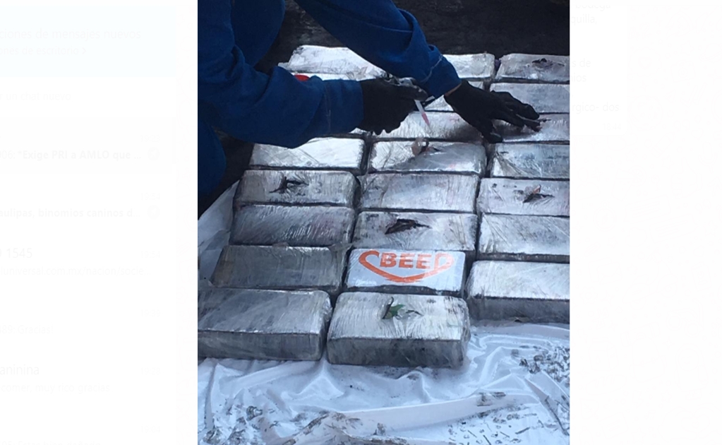 Aseguran 49 kilos de cocaína en buque procedente de Colombia