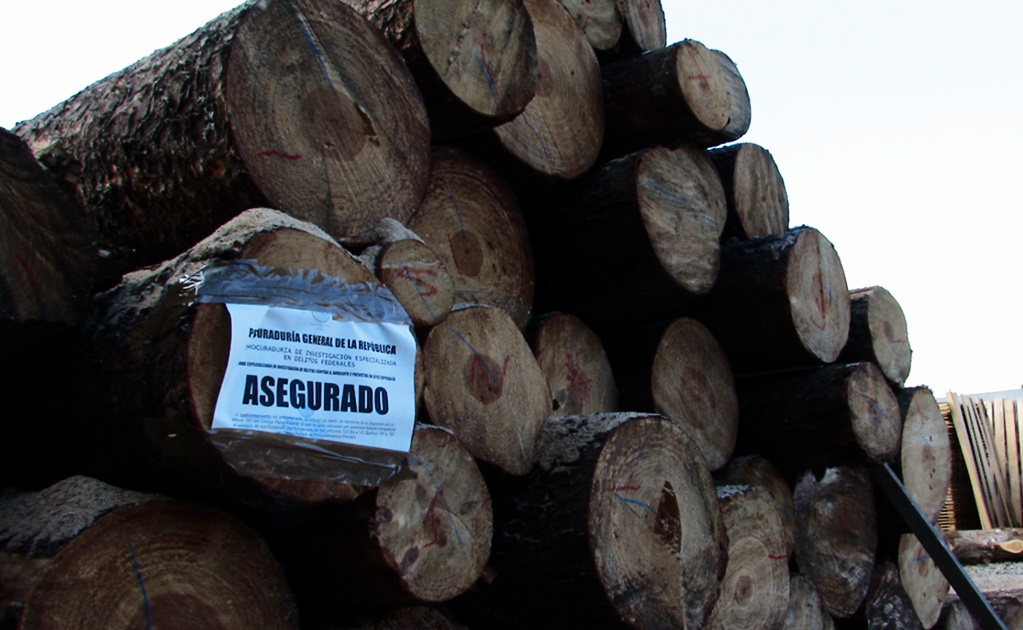 At least 70% of wood in Mexico comes from illegal sources