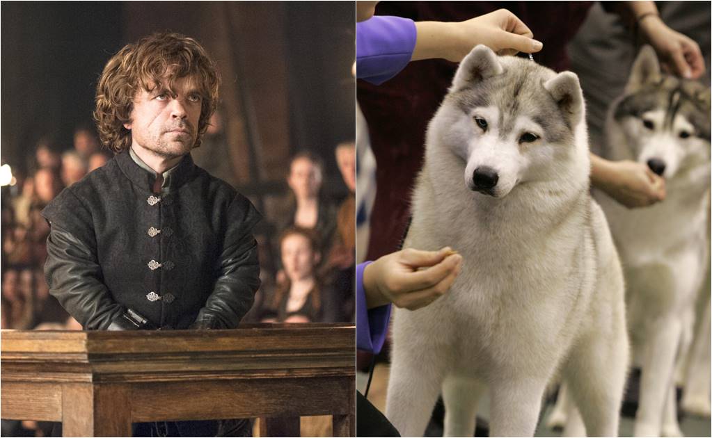 Actor de "Game of Thrones" pide responsabilidad a fans que compran huskies
