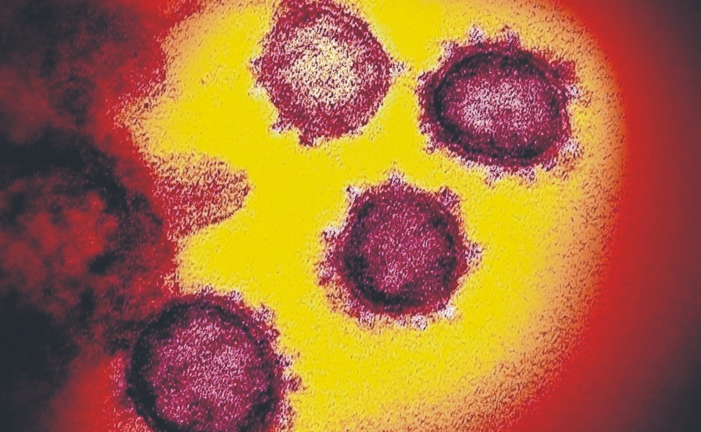 OMS estudia nueva variante del coronavirus con múltiples mutaciones