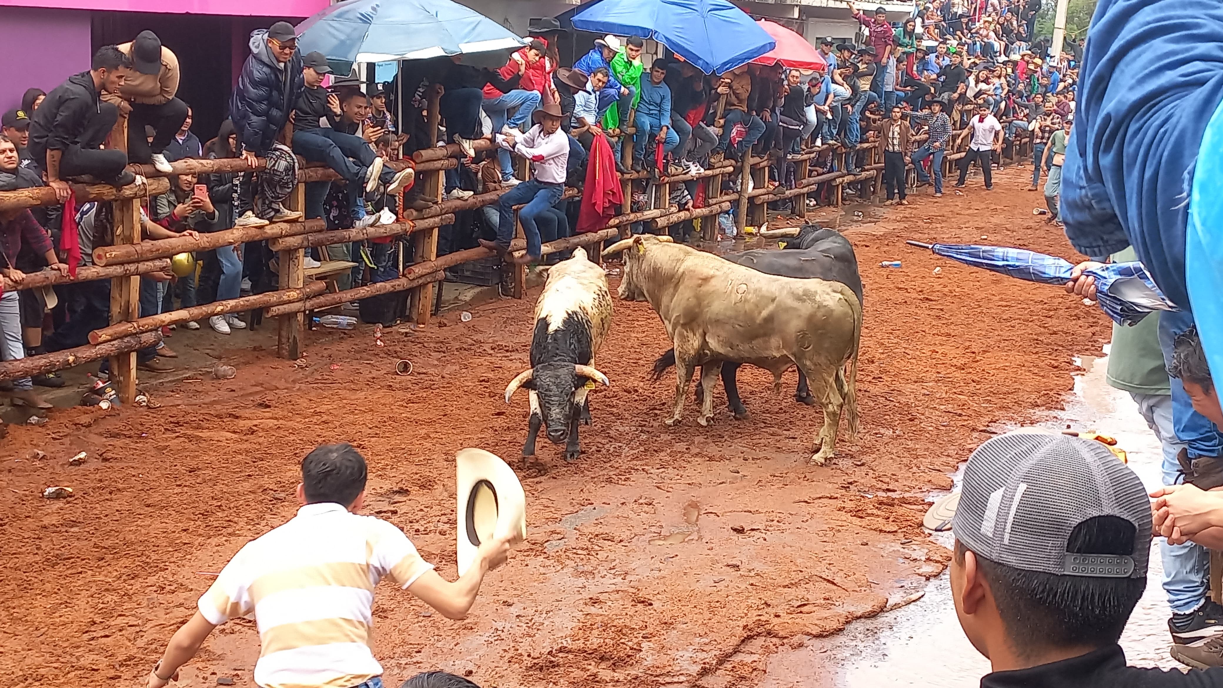 La tradicional Santiagada, una fiesta hidalguense plagada de música, color y adrenalina con toros de lidia 