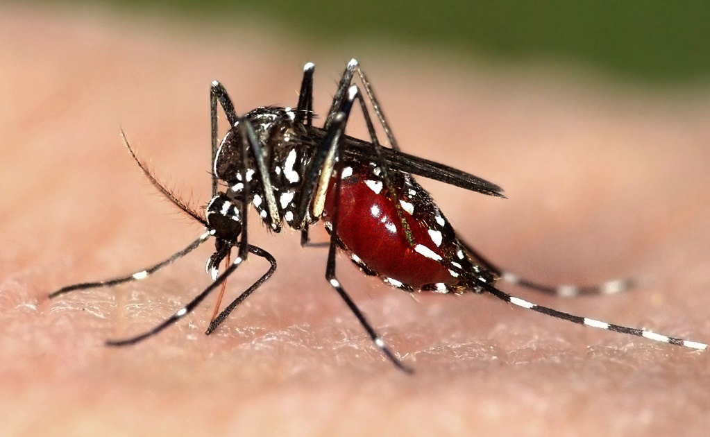 Inicia en Tabasco operativo contra dengue, zika y chikungunya