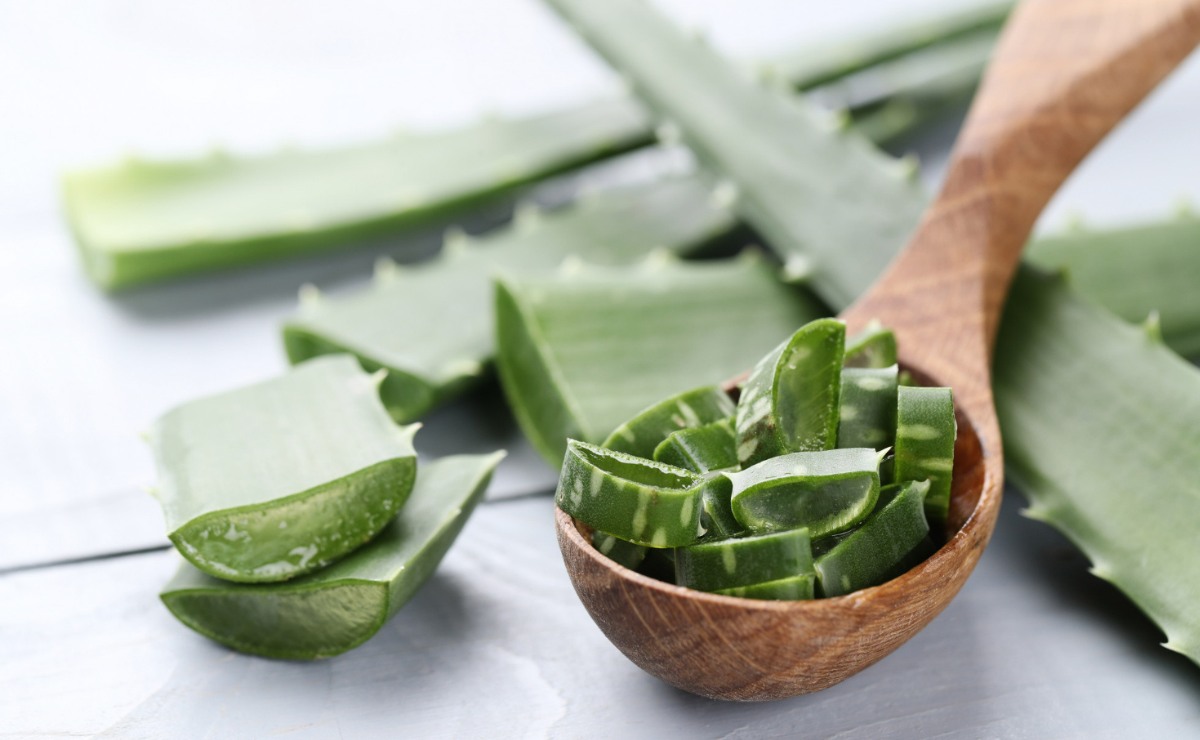 Acaba con la gastritis gracias a la combinación de esta verdura con el gel de esta planta