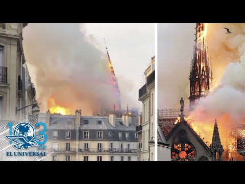 Momento exacto en que cae aguja de catedral de Notre Dame