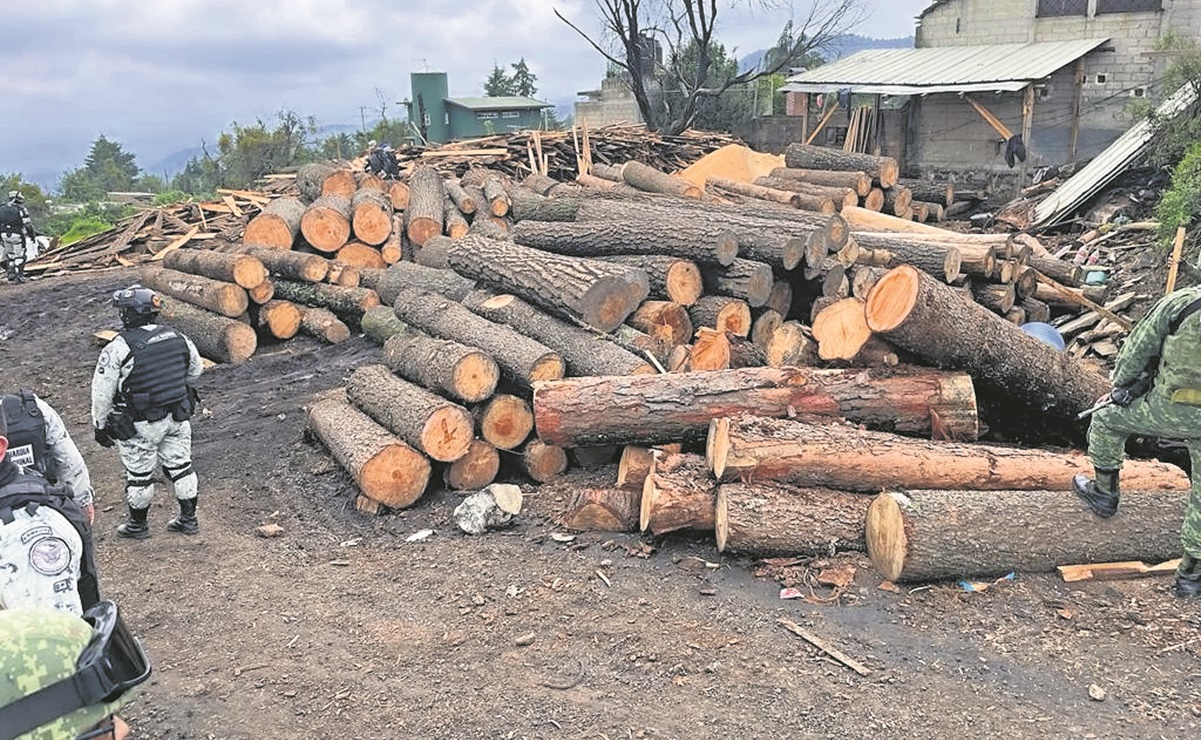 Batres: no vamos a ceder en el combate a la tala de árboles