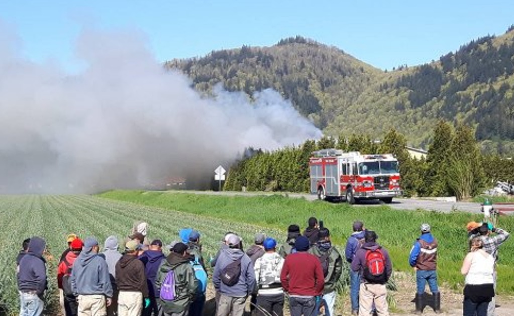A salvo, 78 jornaleros mexicanos tras incendio en granja en Canadá
