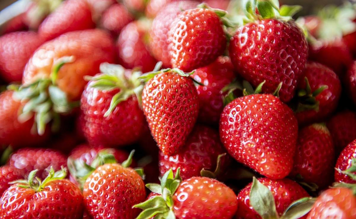 EU investiga posible hepatitis “A” en fresas mexicanas; fueron cultivadas en Baja California