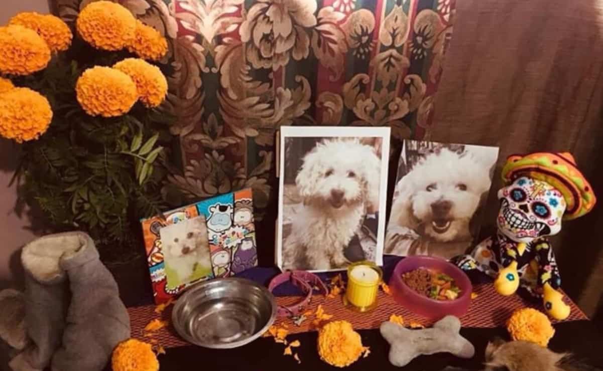 Día de Muertos para mascotas: recuerdan a sus perritos en Neza