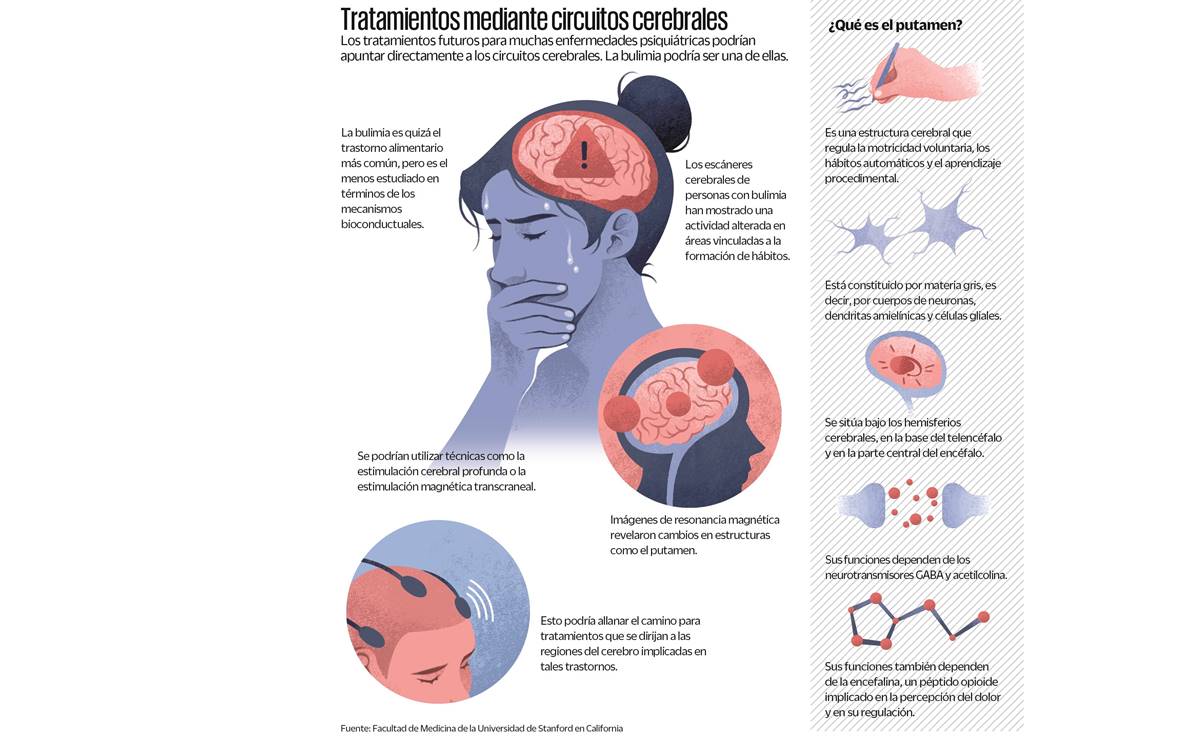 Mapas del cerebro abren   horizontes contra trastornos