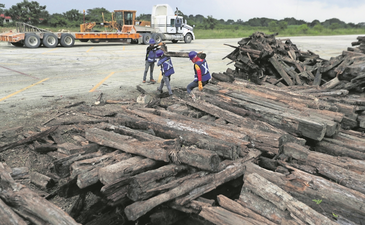 Crimen organizado dedicado a la tala ilegal ha afectado 4 mil hectáreas: Sheinbaum
