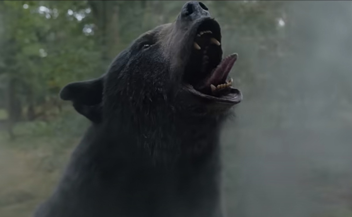 'Cocaine Bear', la historia real del oso que murió por una sobredosis e inspiró la película