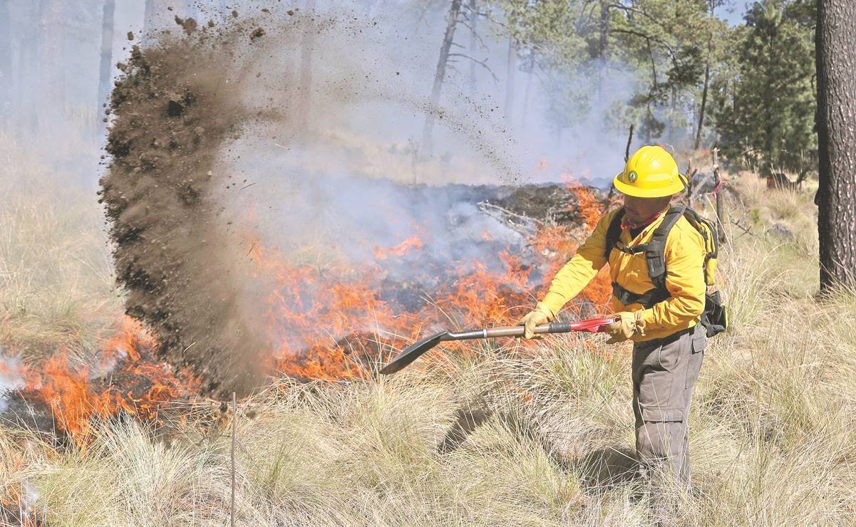 Acuerdan Agricultura y Conafor acciones para inhibir el uso de fuego en zonas forestales y agropecuarias