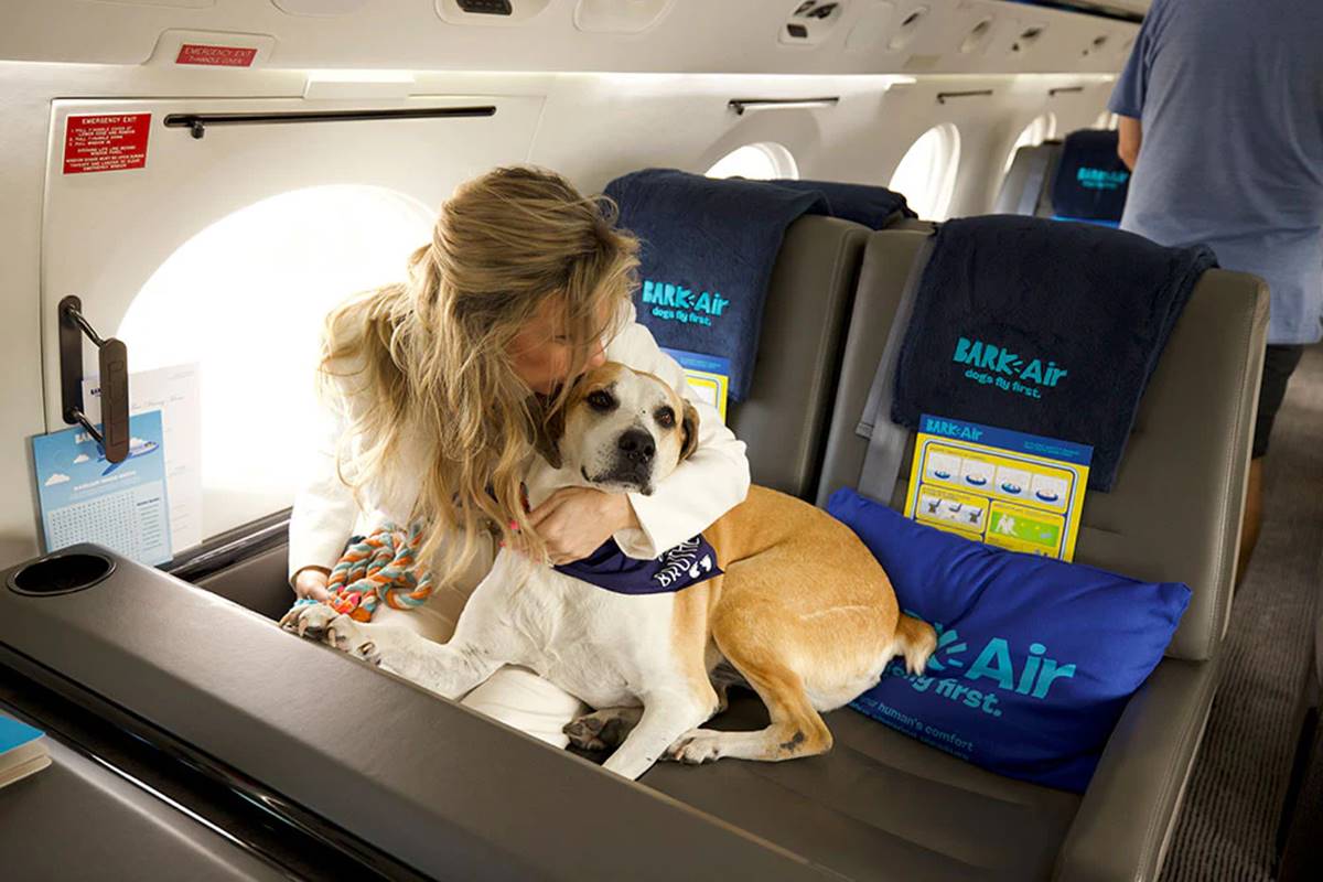 Estas son las aerolíneas más pet friendly del mundo