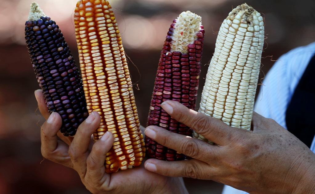 7 health benefits of eating corn