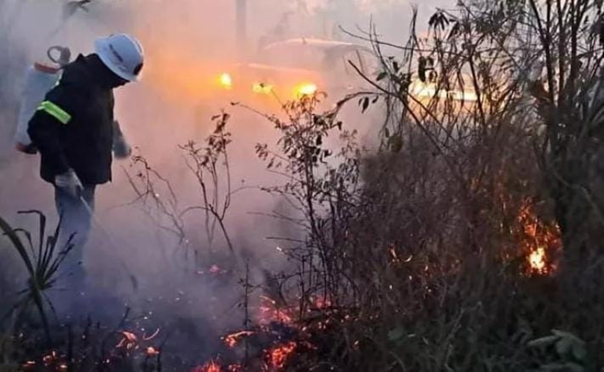 Incendio en reserva Río Lagartos en Yucatán, destruye flora, fauna y deja sin luz y agua al puerto de El Cuyo