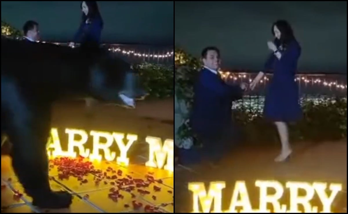 Video. Oso interrumpe propuesta de matrimonio en San Pedro Garza, Nuevo León