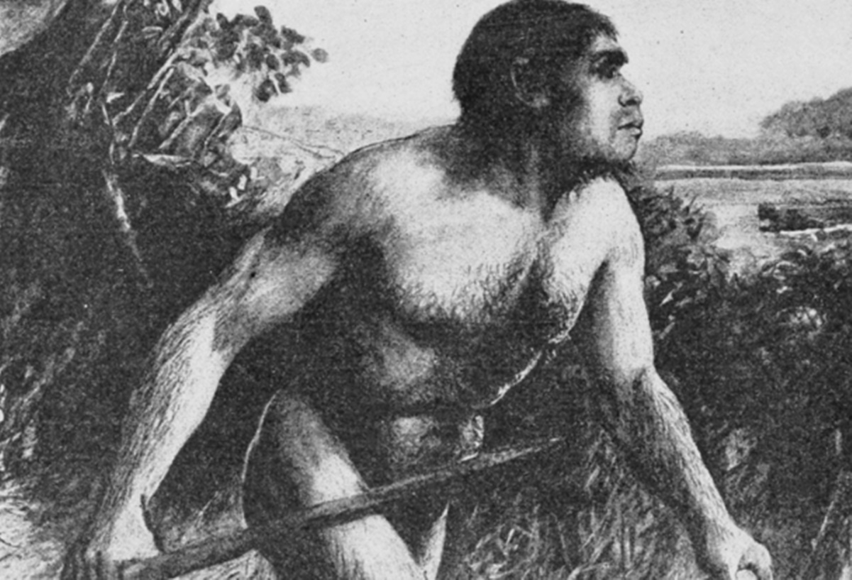 Huesos de una mujer medieval predominan en "el Hombre de Piltdown", el fósil falso presentado como el primer antepasado humano 