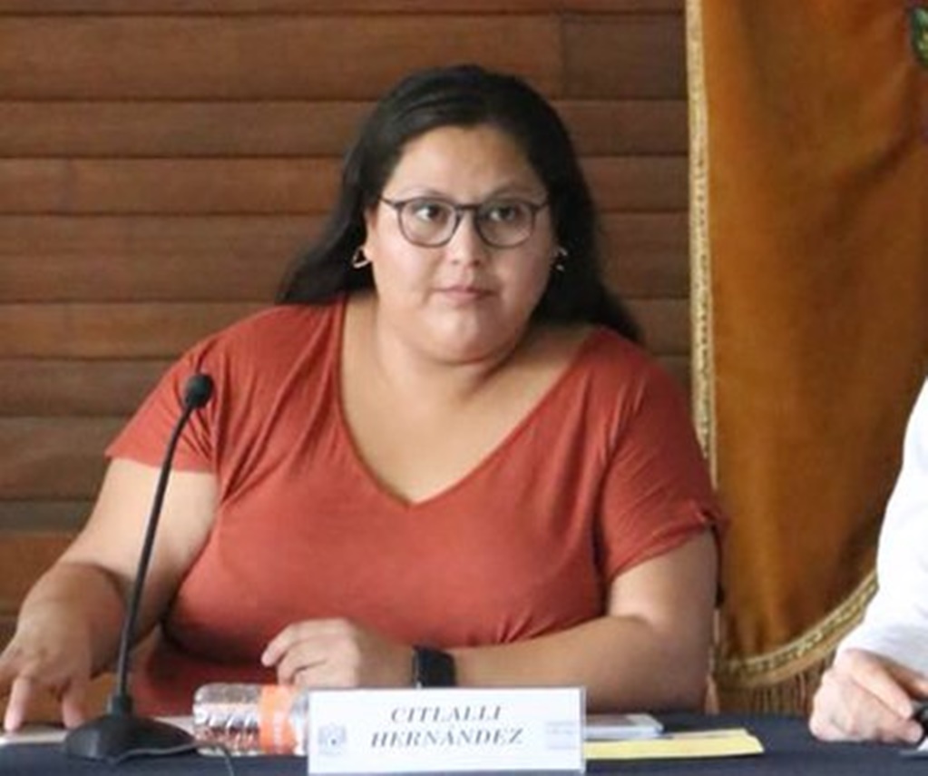 Políticos condenan ataque contra senadora de Morena