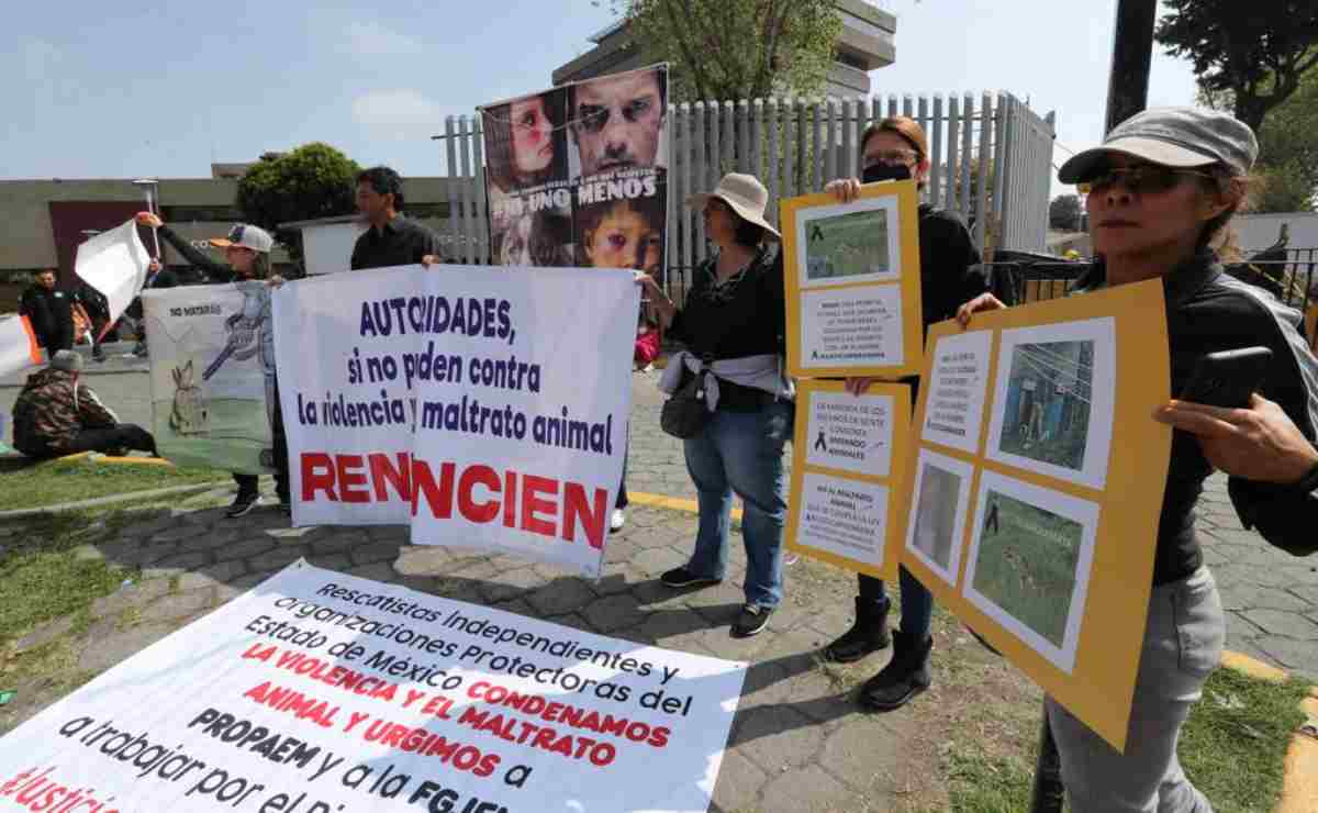 “¡Justicia para Maya!”; activistas y vecinos se manifiestan por perrita que fue ahorcada con un alambre en Toluca