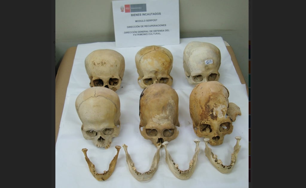 Hallan cráneos de la cultura Paracas en envío postal