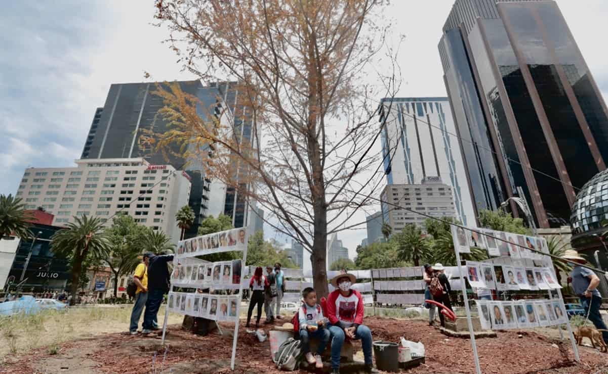 ¿Y cómo está el Ahuehuete de Reforma?