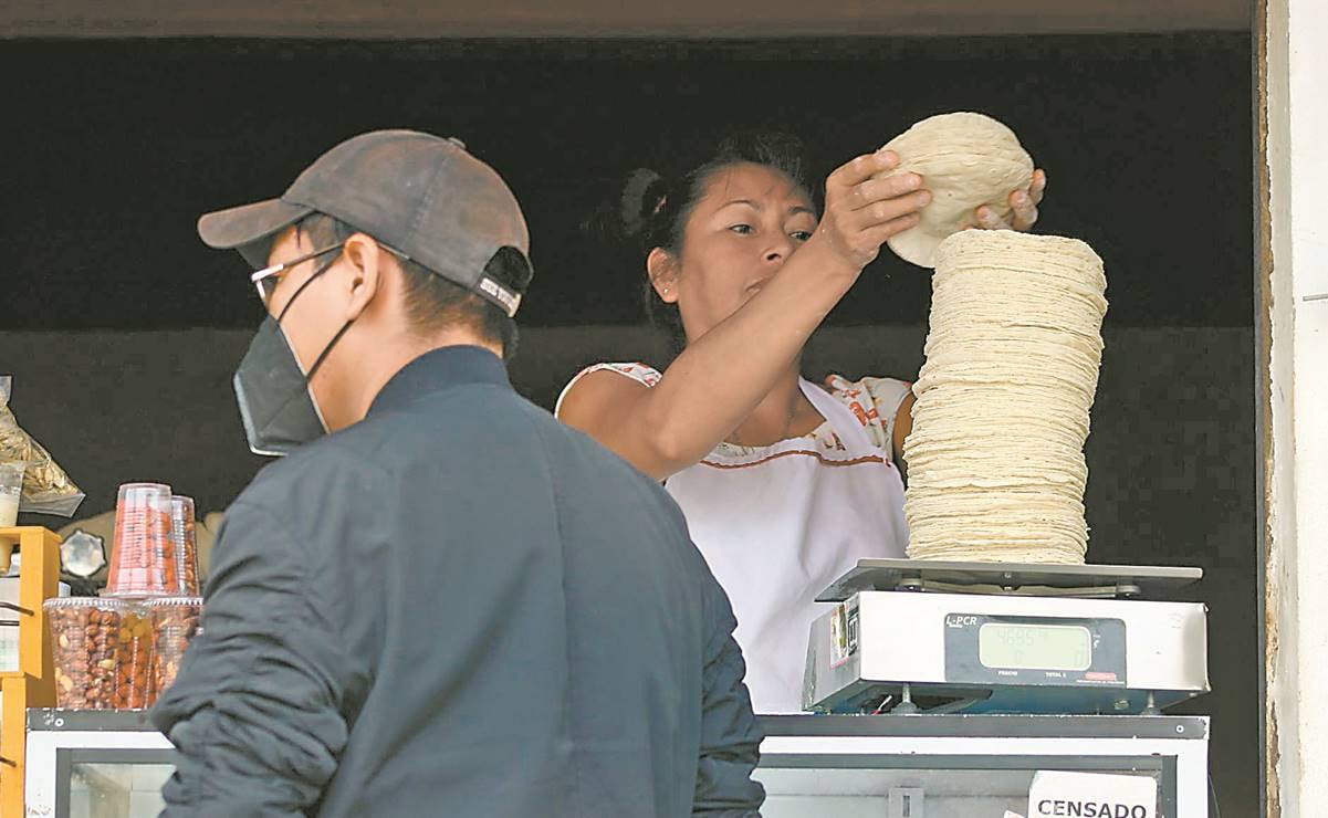 ¡Ojo aquí! Baja de maíz mantiene el kilo de tortilla en alrededor de 22 pesos