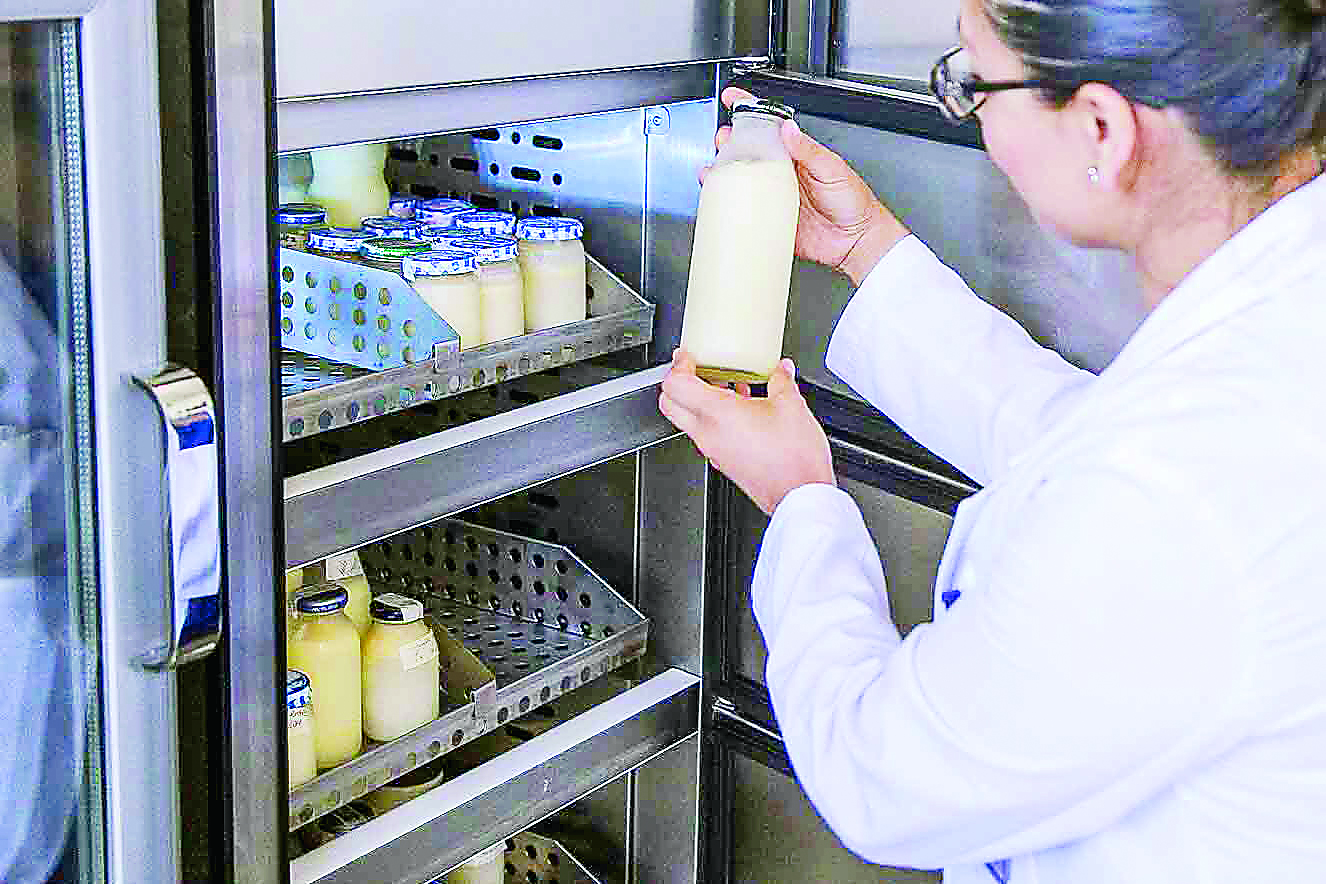 Cofece investiga mercado de leche bronca en Chihuahua