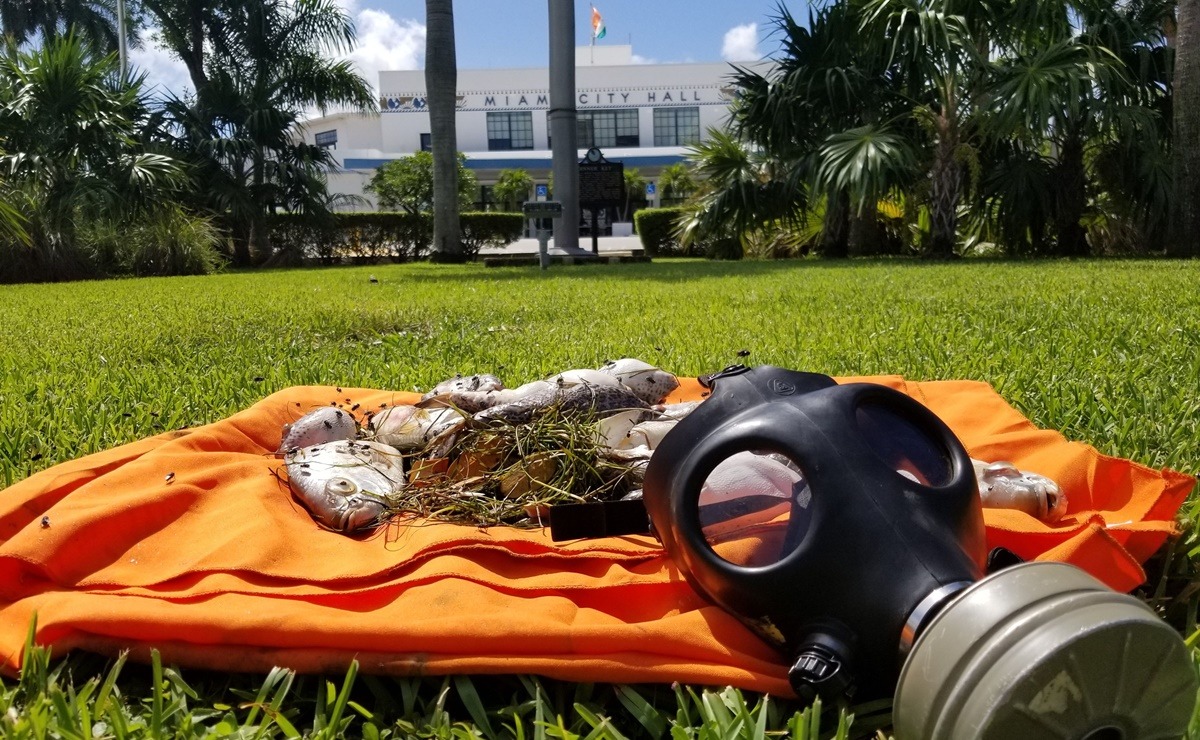 Activistas dejan peces muertos en Alcaldía de Miami en protesta por polución