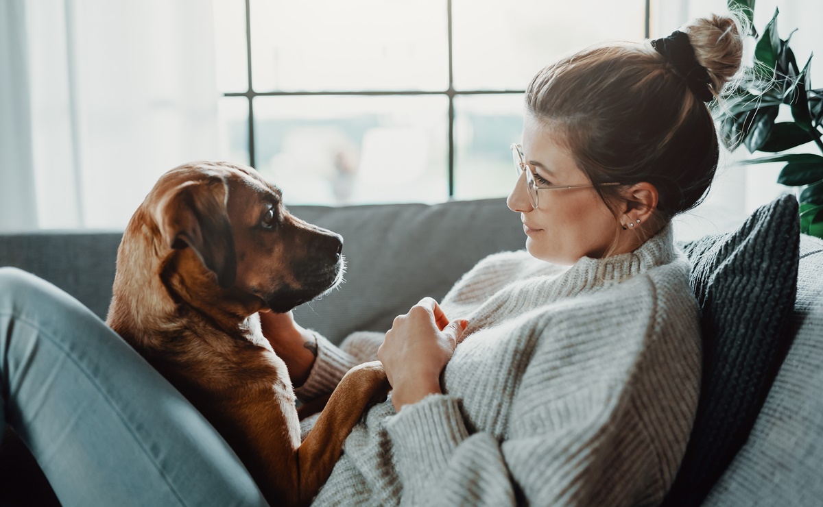 ¿Estresado? Tus perros pueden oler y percibir tu estrés gracias a su sentido del olfato 