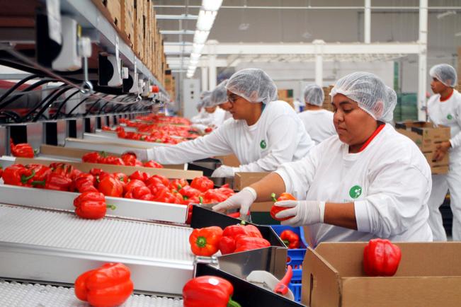 Reformarán la ley de los trabajadores del estado | Querétaro