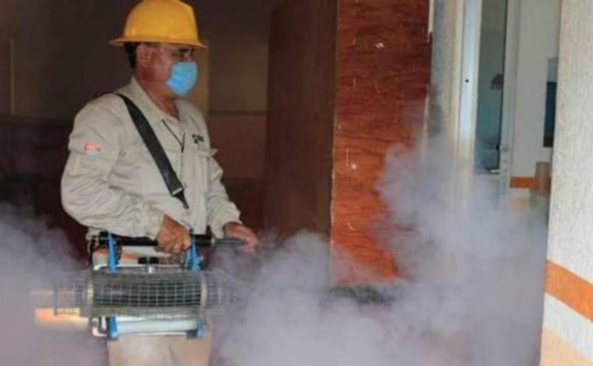 Autoridades en Oaxaca reconocen haber utilizado insecticida caduco para combatir mosquito del dengue