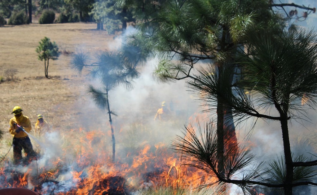 Muere brigadista en incendio forestal en Sinaloa