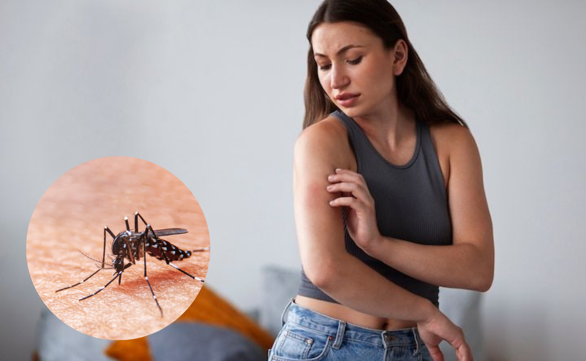 ¿Por qué un mosquito pica más a una persona que a otra?
