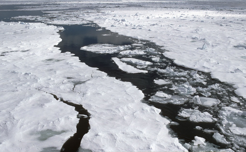 ¡Se derrite! El Ártico podría perder todo su hielo marino a partir de 2030