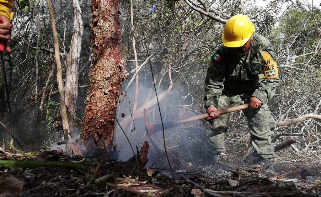 Sofocan totalmente incendio en reserva de la biosfera de Sian Ka'an, Quintana Roo