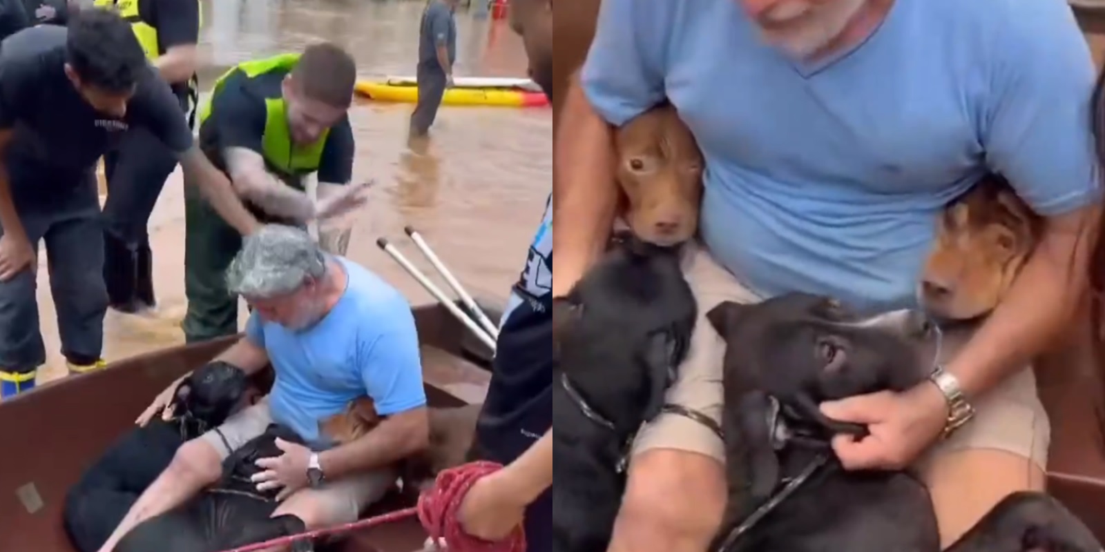 Hombre arriesga su vida para salvar a sus perritos de las inundaciones, en Brasil