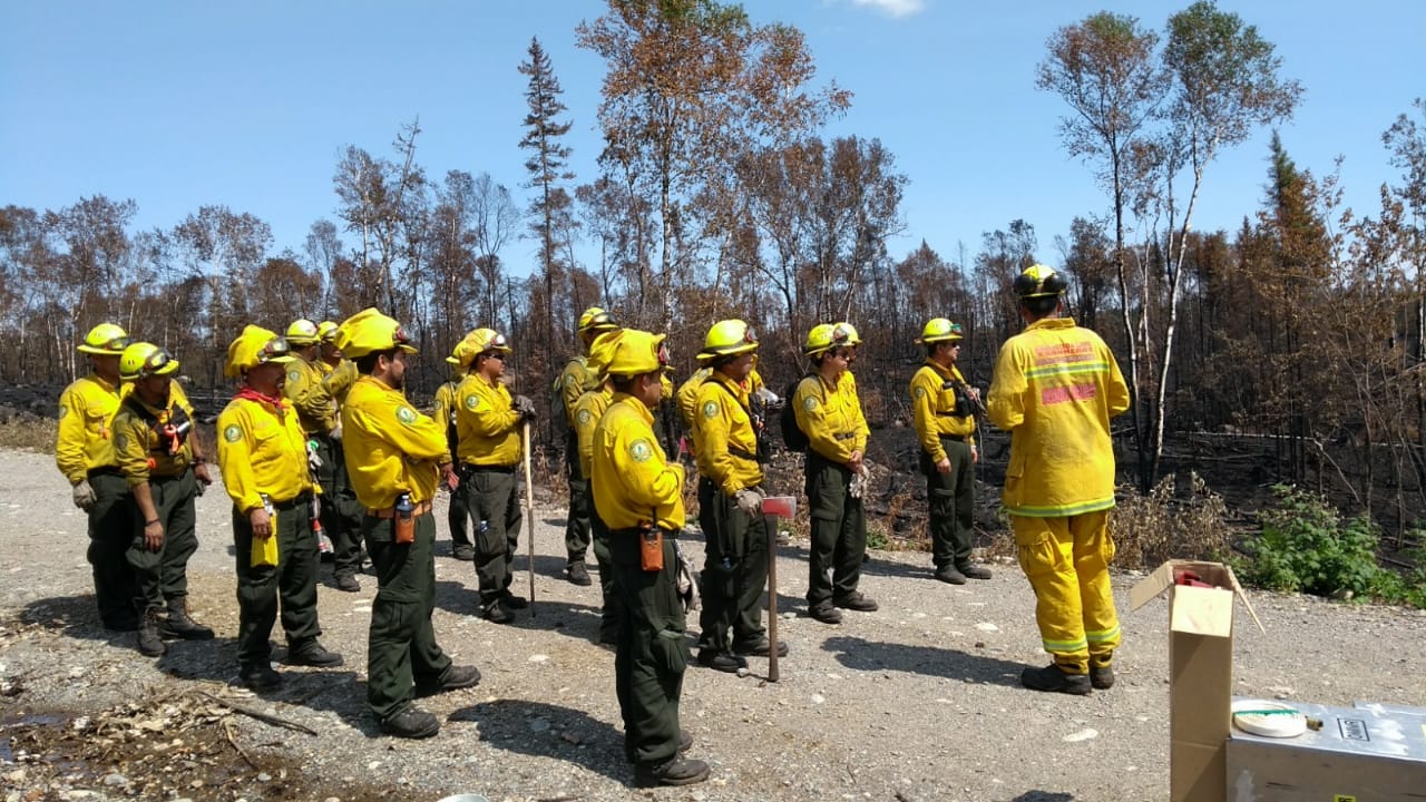 ​Concluye apoyo de combatientes mexicanos en incendios forestales de Canadá