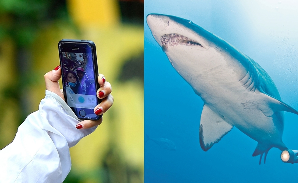 Morir por una selfie es más probable que por el ataque de un tiburón