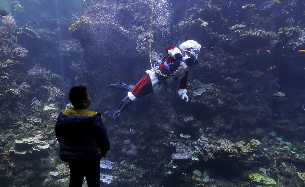 ​Santa Claus cambia centros comerciales por arrecife en San Francisco