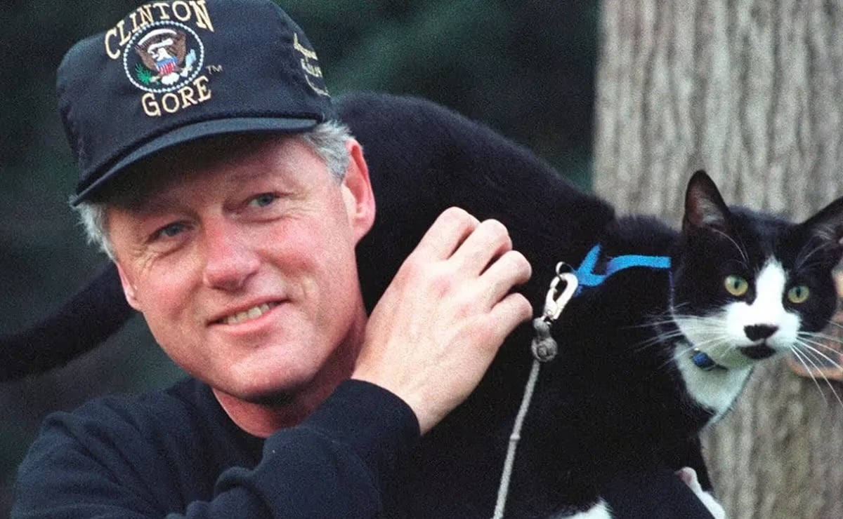 Socks, el minino de Bill Clinton que inspiró el Día Internacional del Gato